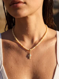 Aqua Fish Ketten-Charm