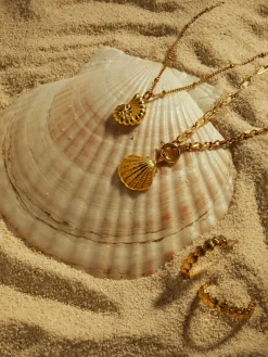 Beach Party Shells Ohrringe