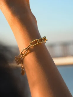Classic Flexible ARMBAND