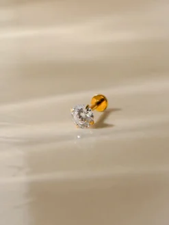 Classic Shine Small Titan Piercing