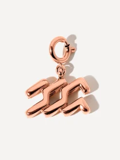 Classic Zodiac Ketten-Charm - Aquarius