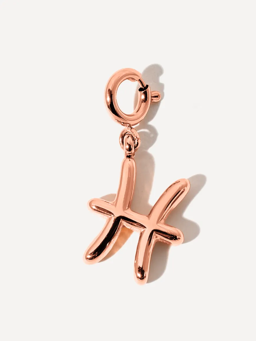 Classic Zodiac Ketten-Charm - Pisces