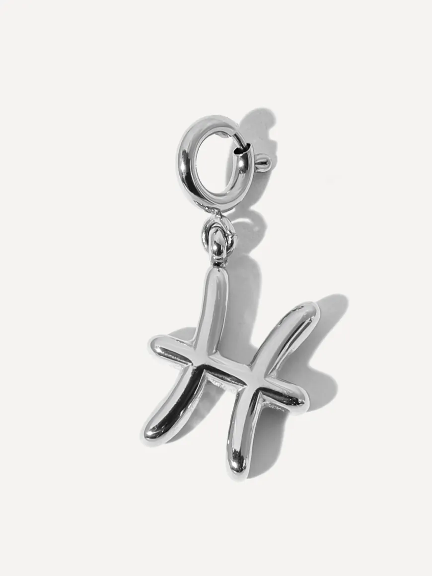 Classic Zodiac Ketten-Charm - Pisces