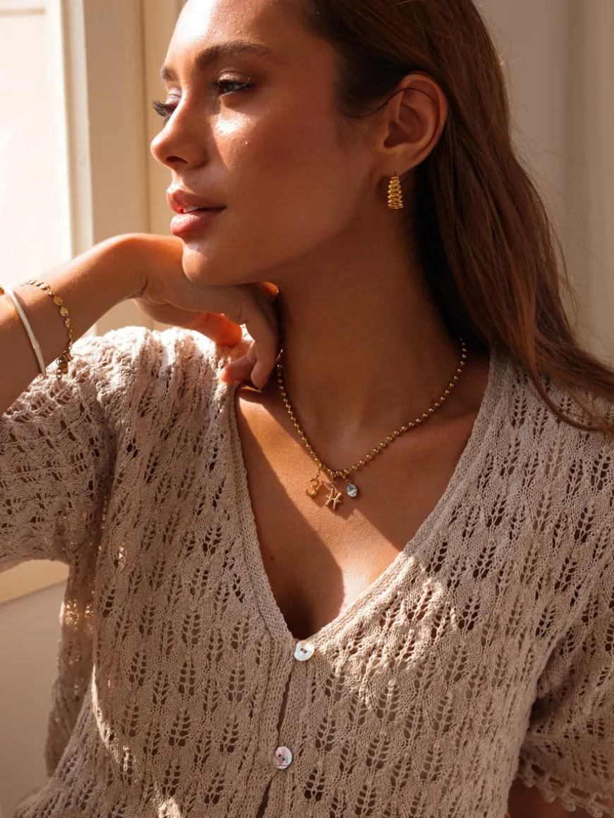 Classic Zodiac Ketten-Charm - Pisces