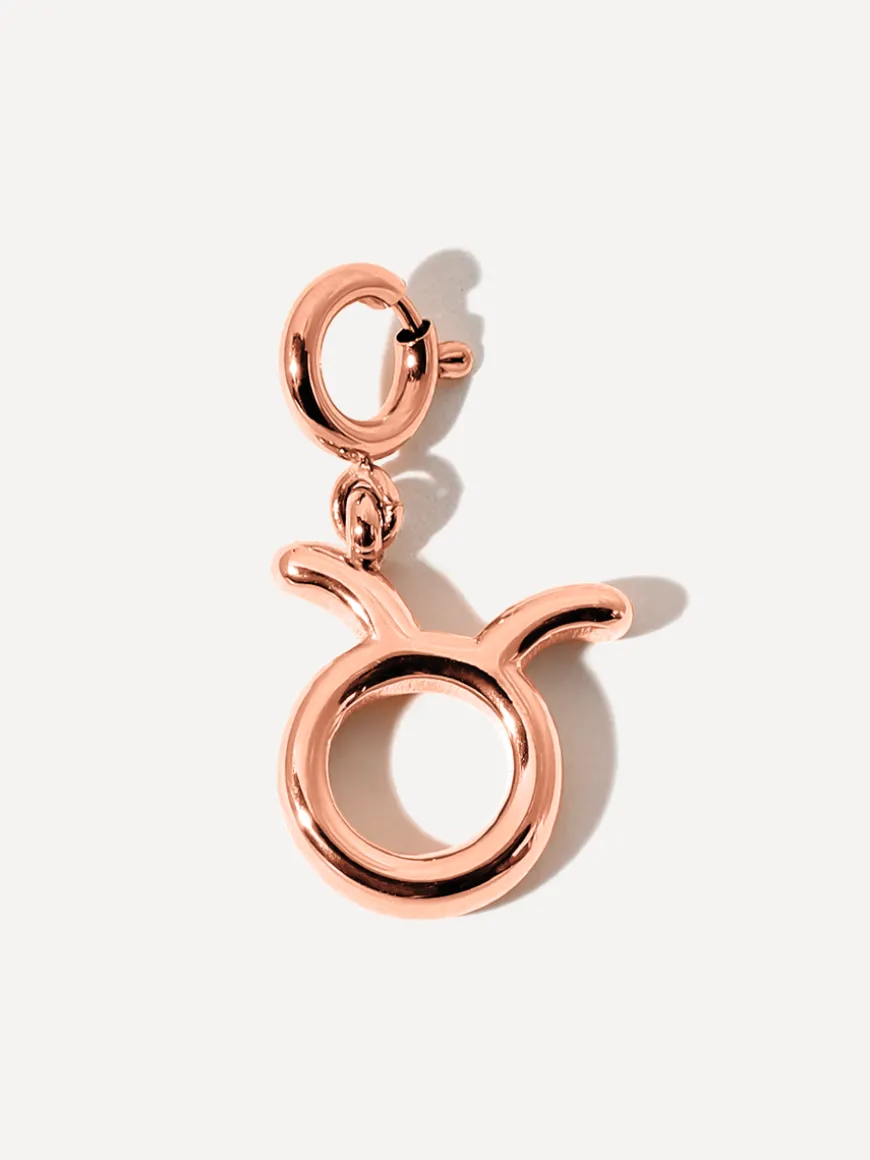 Classic Zodiac Ketten-Charm - Taurus