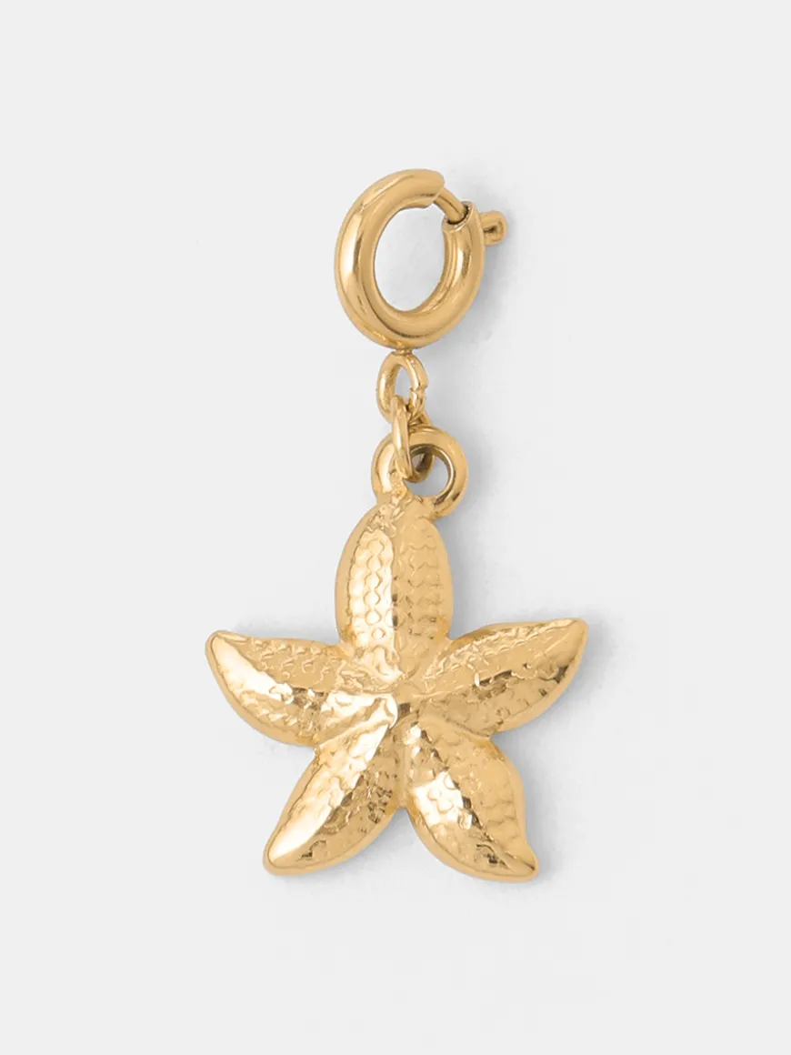 Coast Star Ketten-Charm