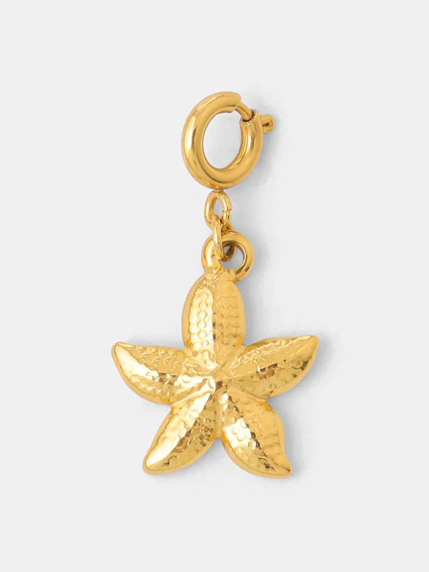 Coast Star Ketten-Charm