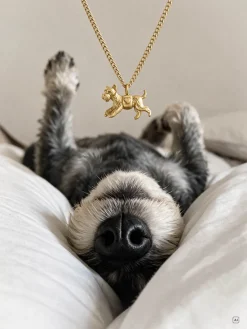 Creatura Dainty Schnauzer Kette