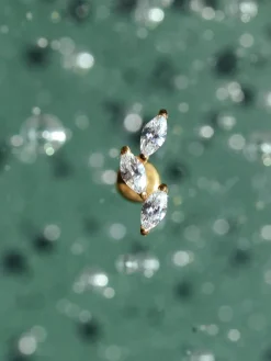 Curved Leaf Titan Piercing