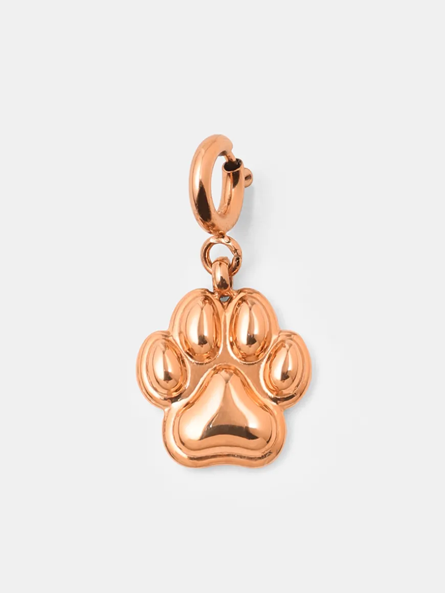 Cute Claw Ketten-Charm
