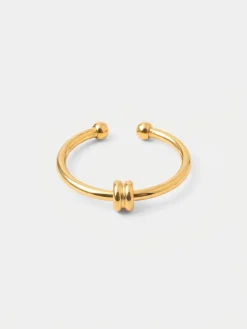 Elegant Duo Loop Ring