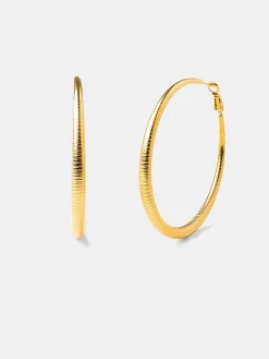 Elegant Loop Ohrringe