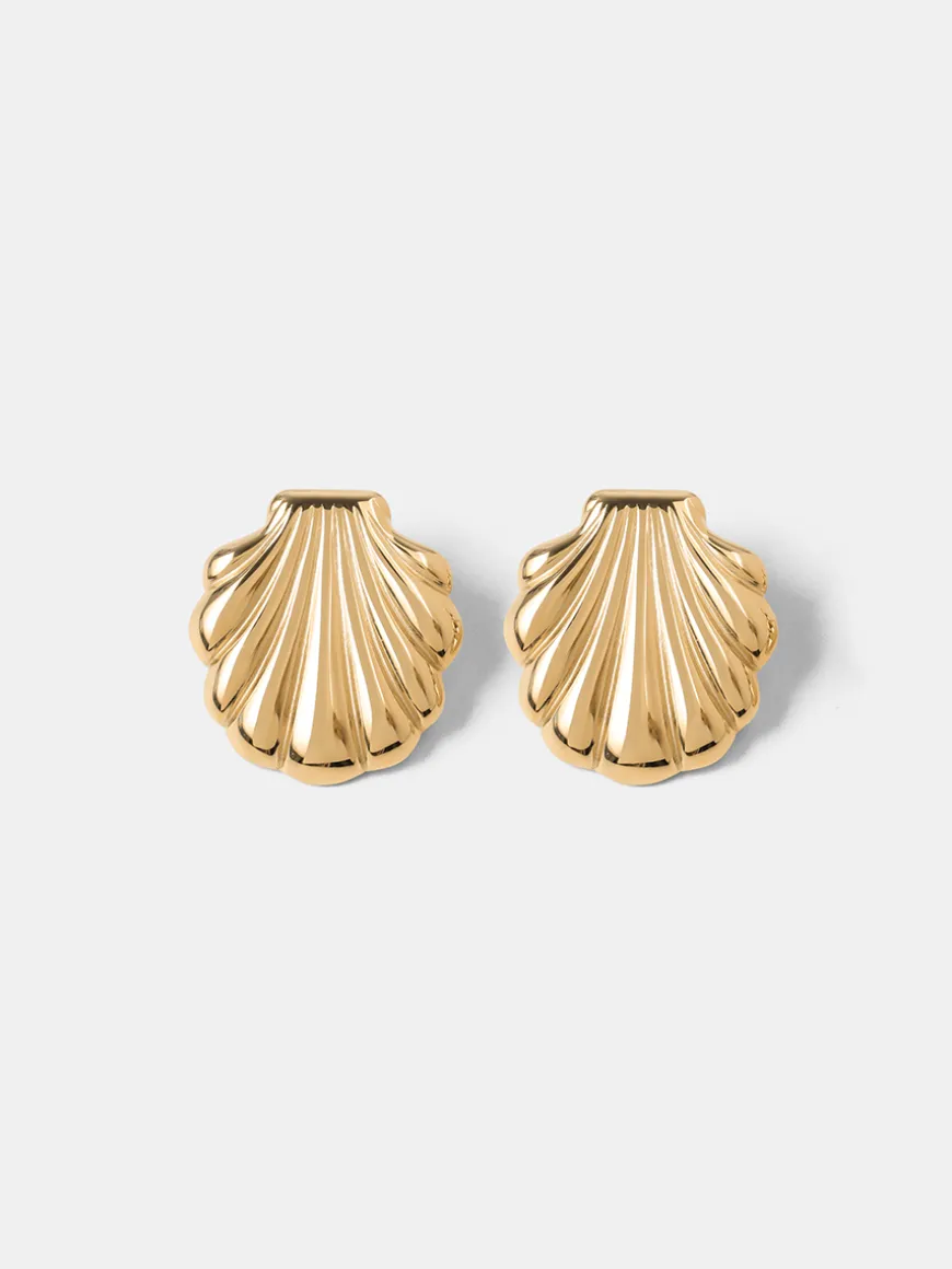 Elegant Shell Ohrringe
