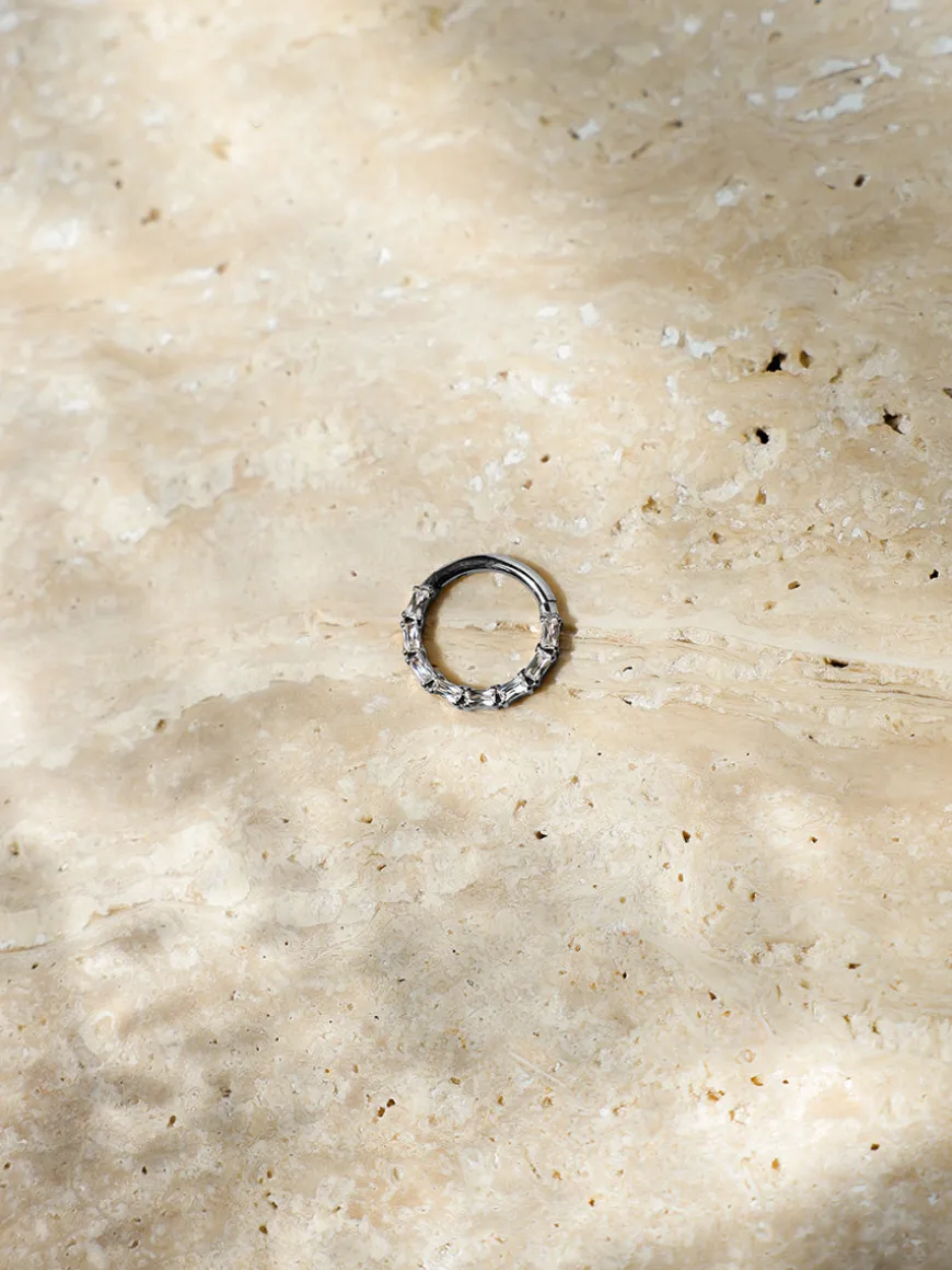Elegant Sparkle Titan Piercing