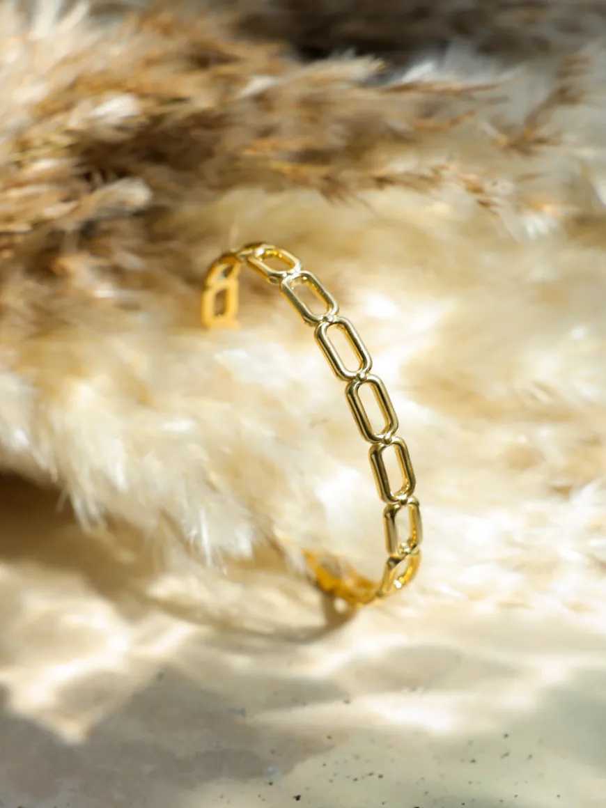 Harmony Link Armcuff