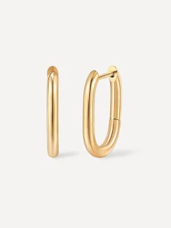 19mm Absolute Appeal Small Ohrringe