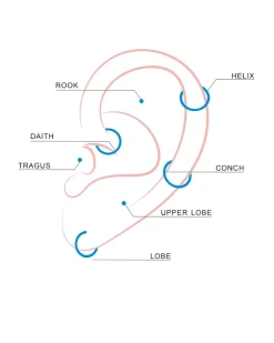 Muse Hoop Titan Piercing