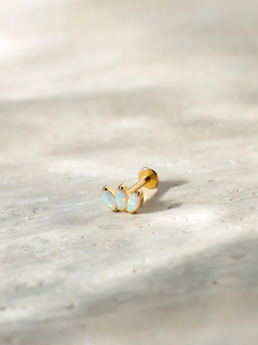 Oceanic Dream Titan Piercing