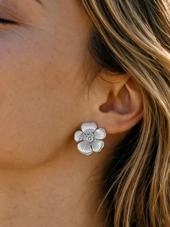 Prairie Bloom Set