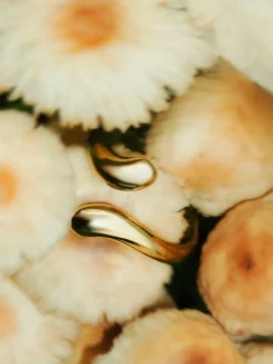 Premium Ring