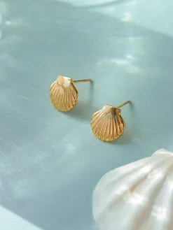 Pure Shell Ohrringe
