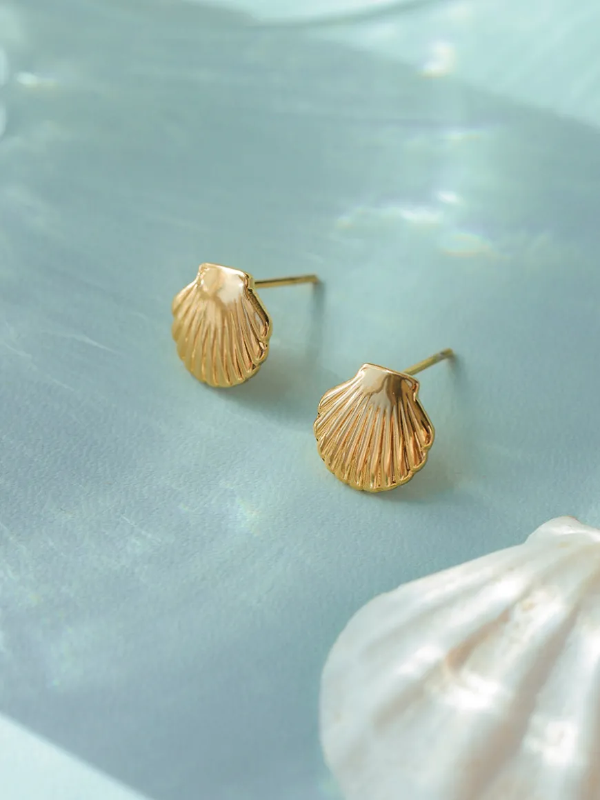 Pure Shell Ohrringe