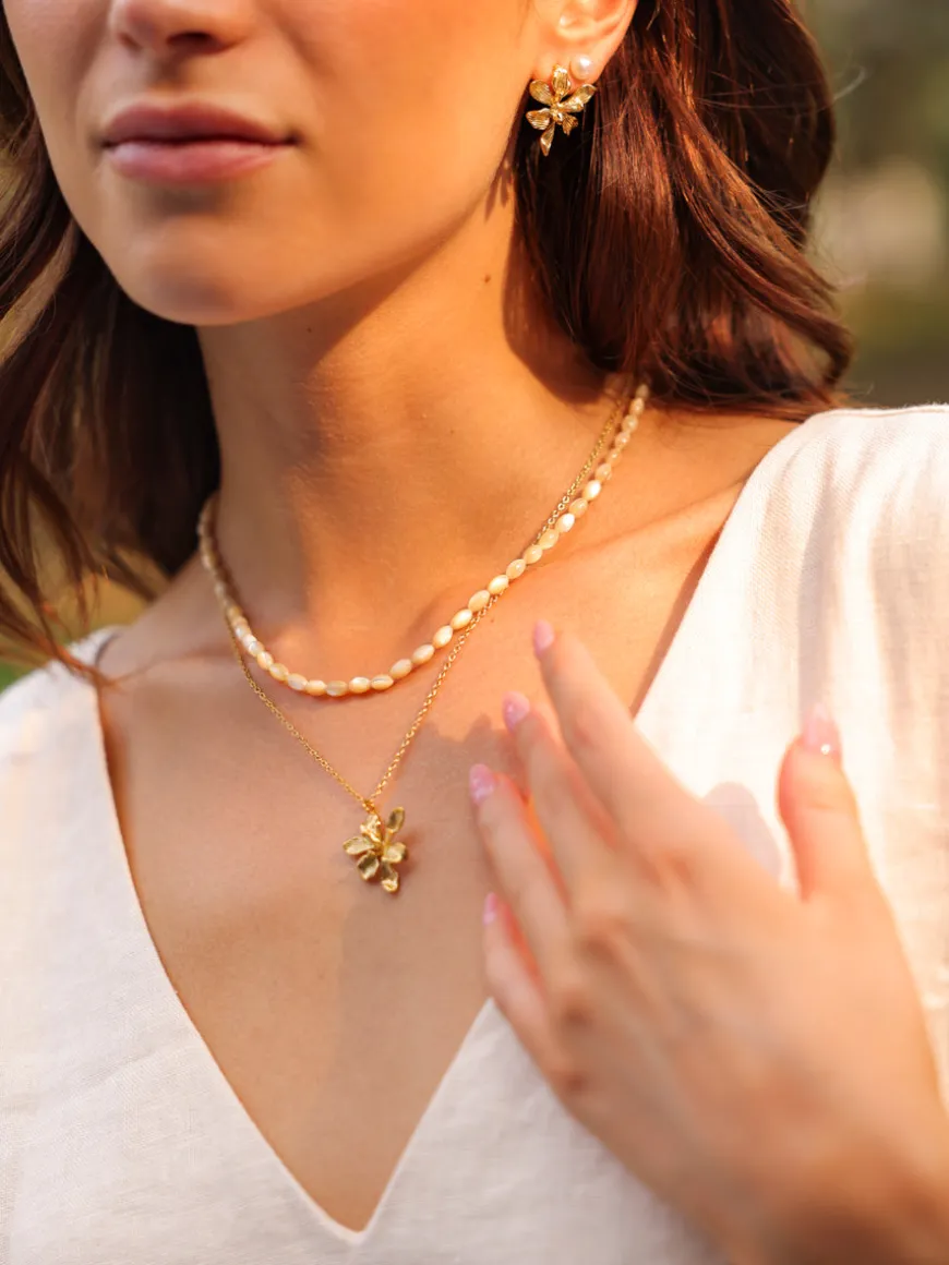 Sea Shell Kette