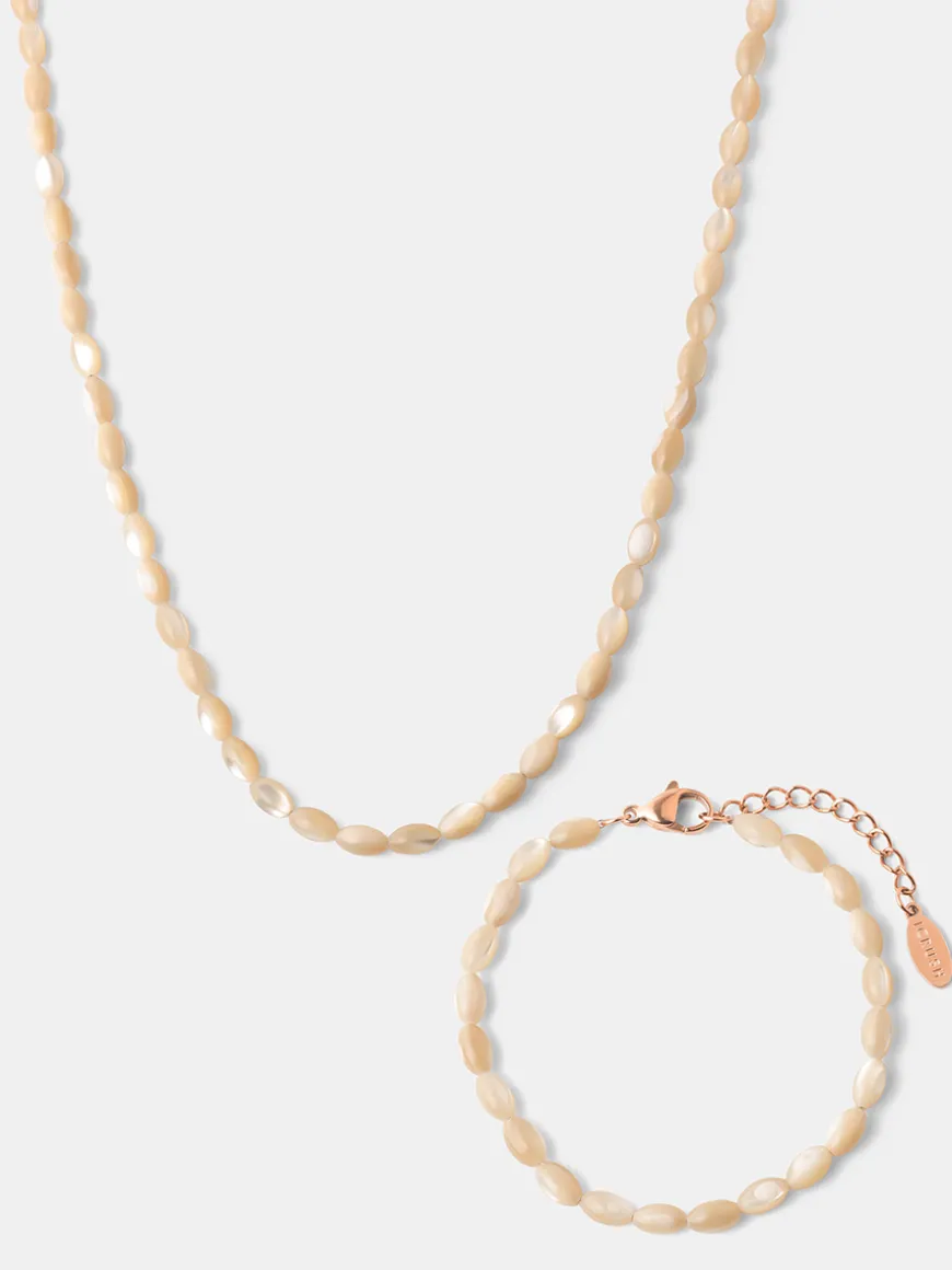 Sea Shell Set