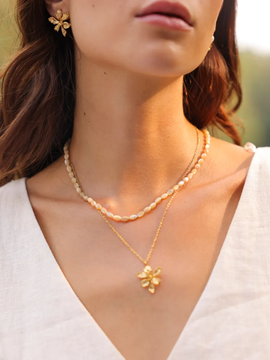 Sea Shell Set