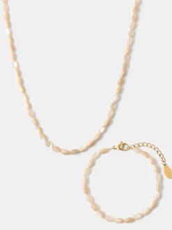 Sea Shell Set