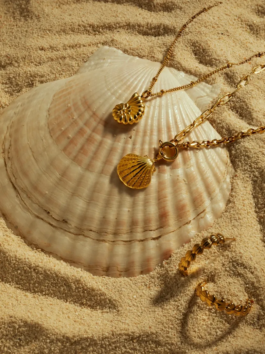 Seashells Kette