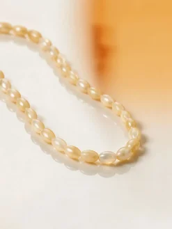 Sea Shell Thin Kette