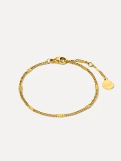 Segment Shine ARMBAND