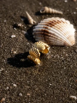 Shell Dream Earcuff