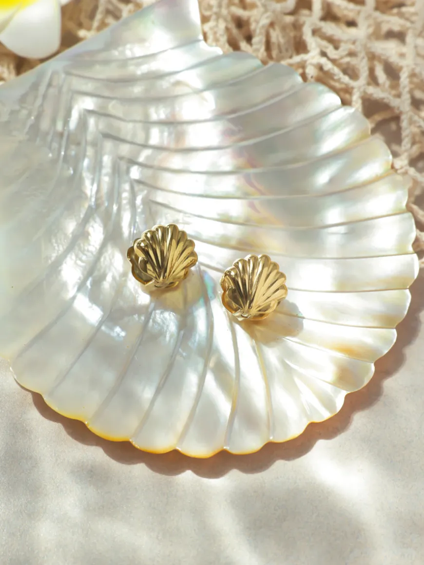 Shell Melody Ohrringe