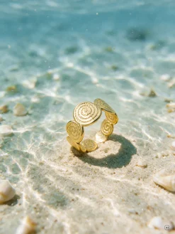 Swirl Flow Ring