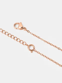 The Basis Kette