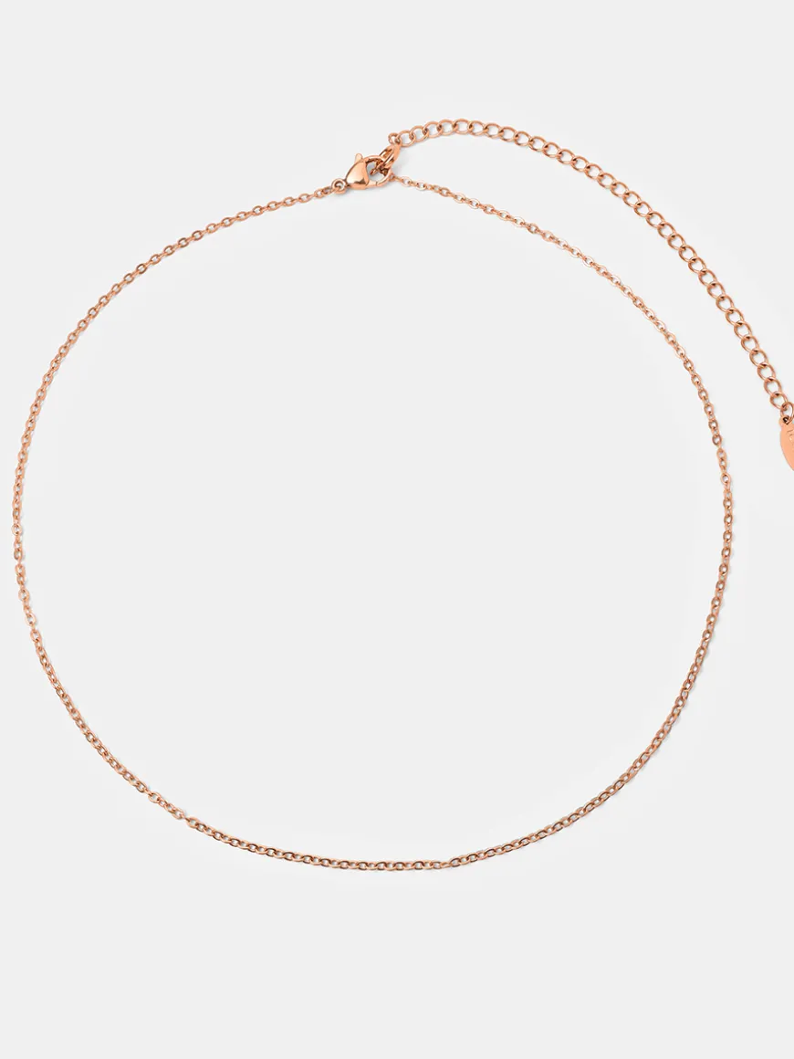 The Basis Kette