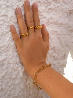 Zeal Ring